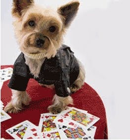 World's Only Poker-Playing Dog Dies Age 17
