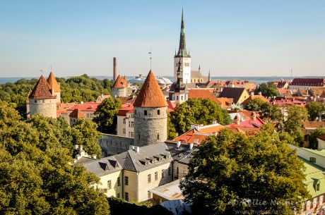 Kings of Tallinn Poker Festival Set to Bring Top-Level Poker Action Back to …