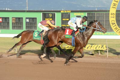Poker Star makes it three in a row in St Catherine Cup