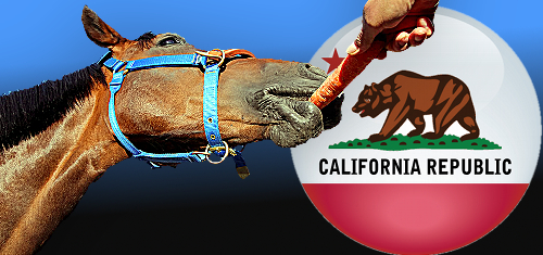 California poker bill offers racing a $60m carrot