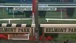 Full Field of 11 in Belmont's Bold Ruler Handicap