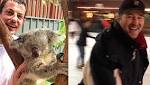 Poker Players on Instagram: Koalas, High-stakes Pineapple in Vienna and more