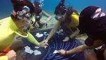 Scuba Divers Stumble Upon Underwater Poker Game